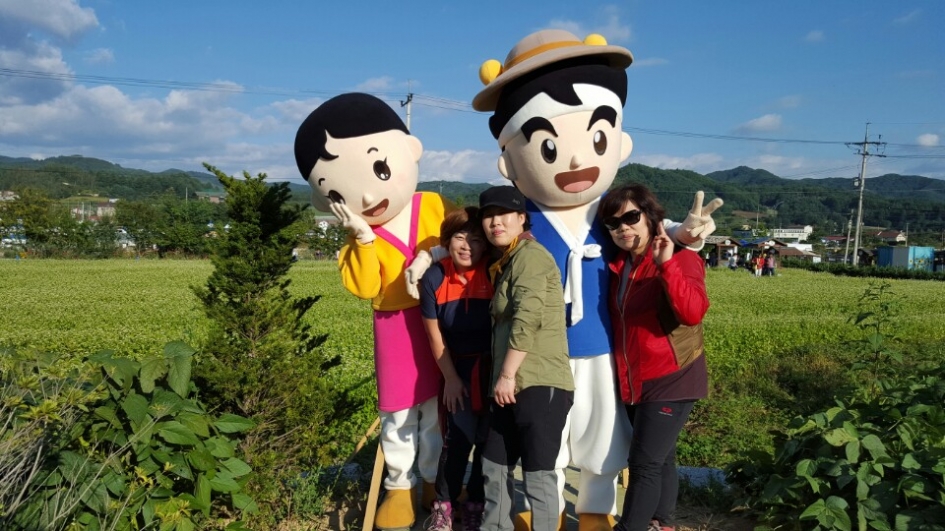 메밀이야기 이미지
