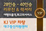 VIP 28인승 리무진