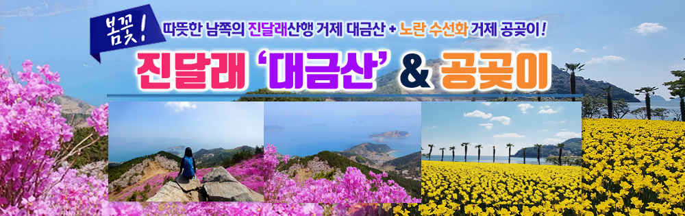 ��ݻ�+������